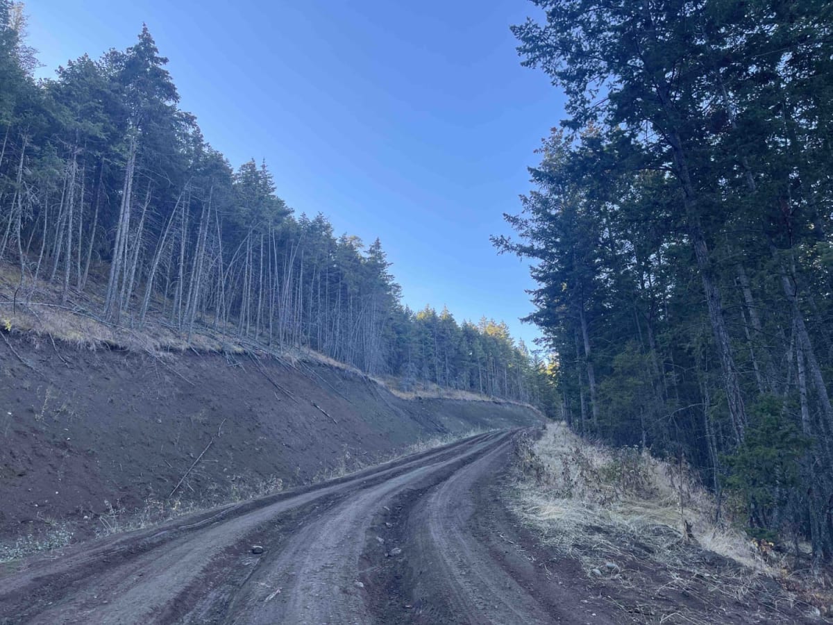 Pinaus Lake to Tuktakamin Lookout photo 5