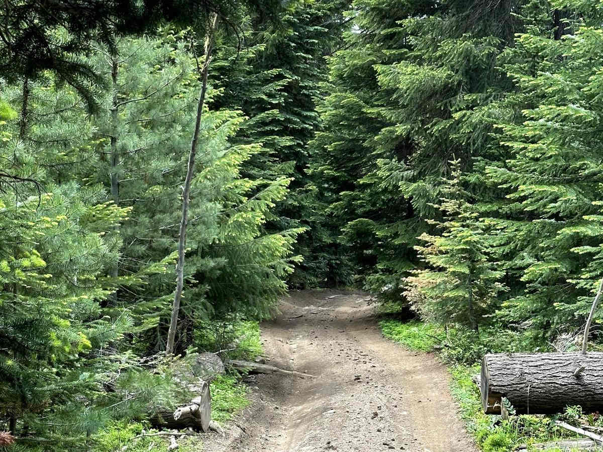 Upper Kaner Ridge Trail photo 6