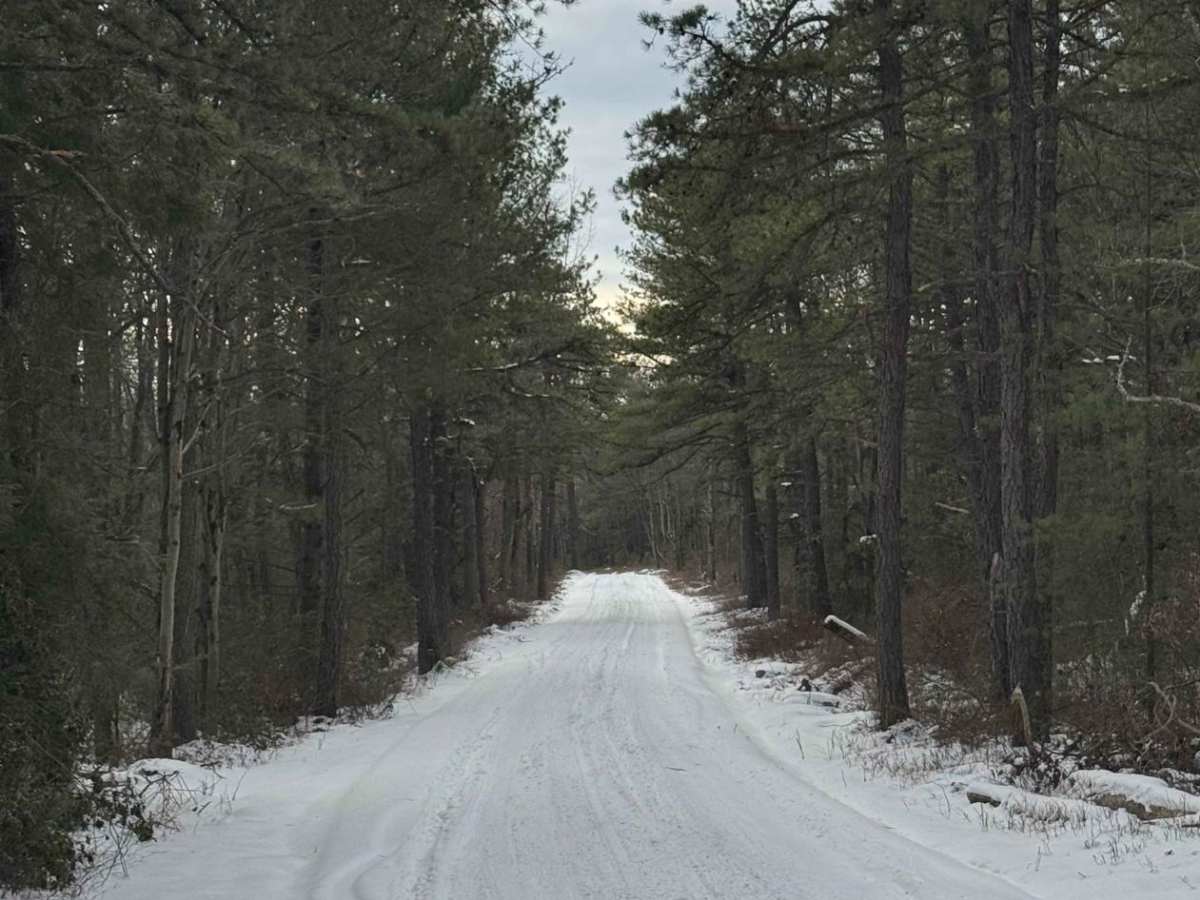 Old Shingle Road photo 2