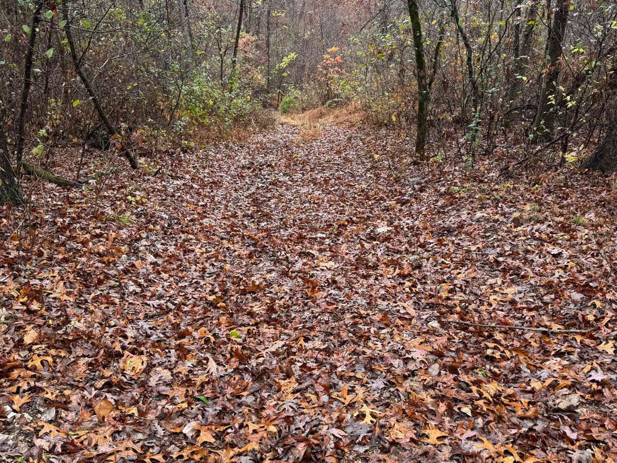 Yellow 80 trail photo