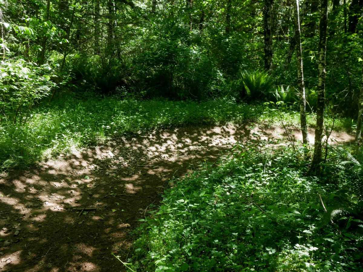 Jordan Creek #84 (Part 3) photo 6