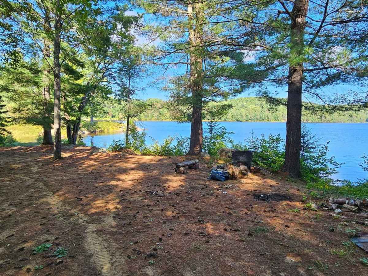 Kelly Lake Trail photo 2