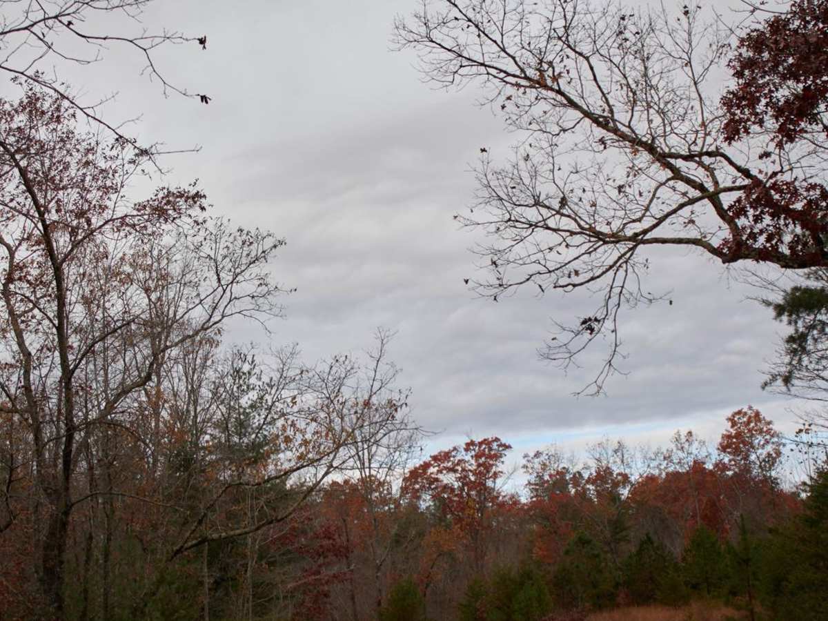 Lake Tugaloo photo 2