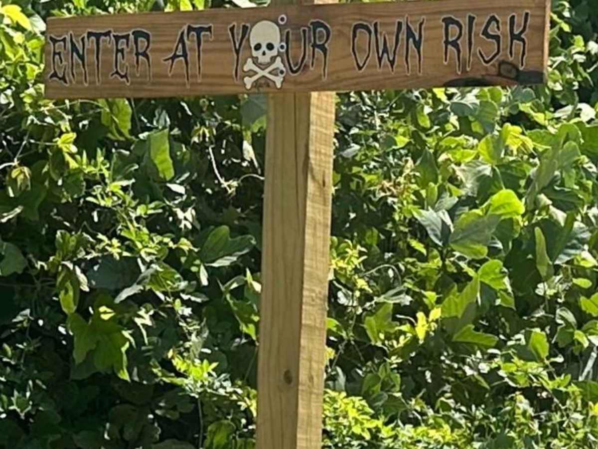 Welcome to the Jungle trail photo