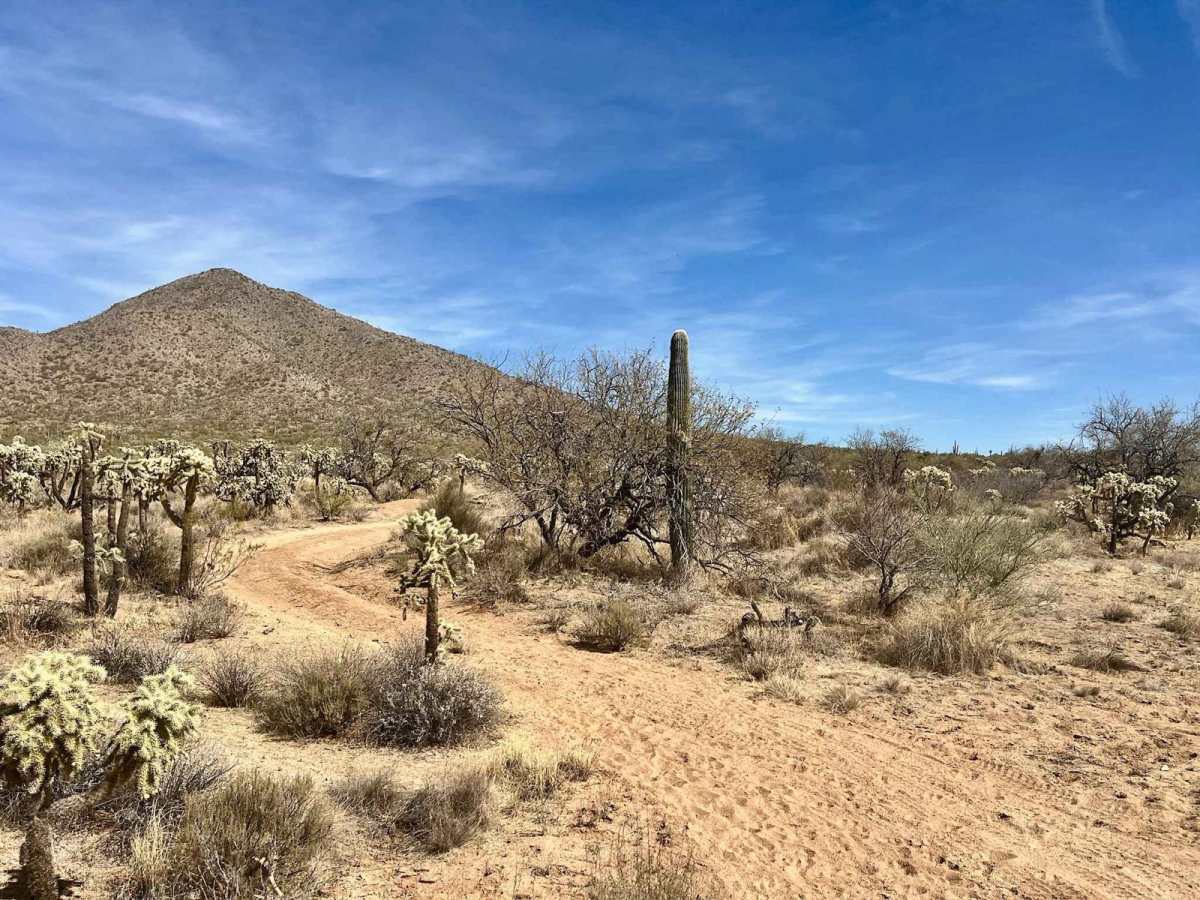 Coyote Peak South photo 5