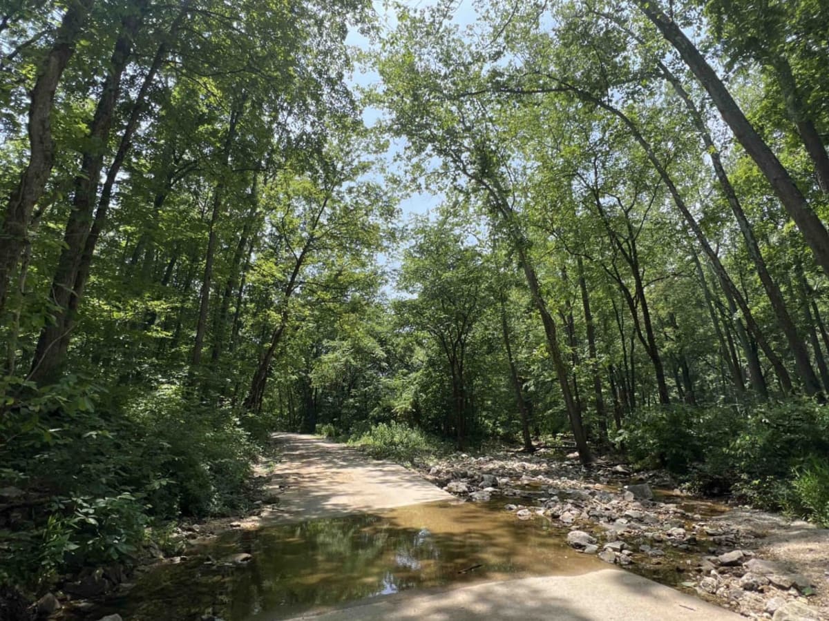 Current River Conservation Area photo 4