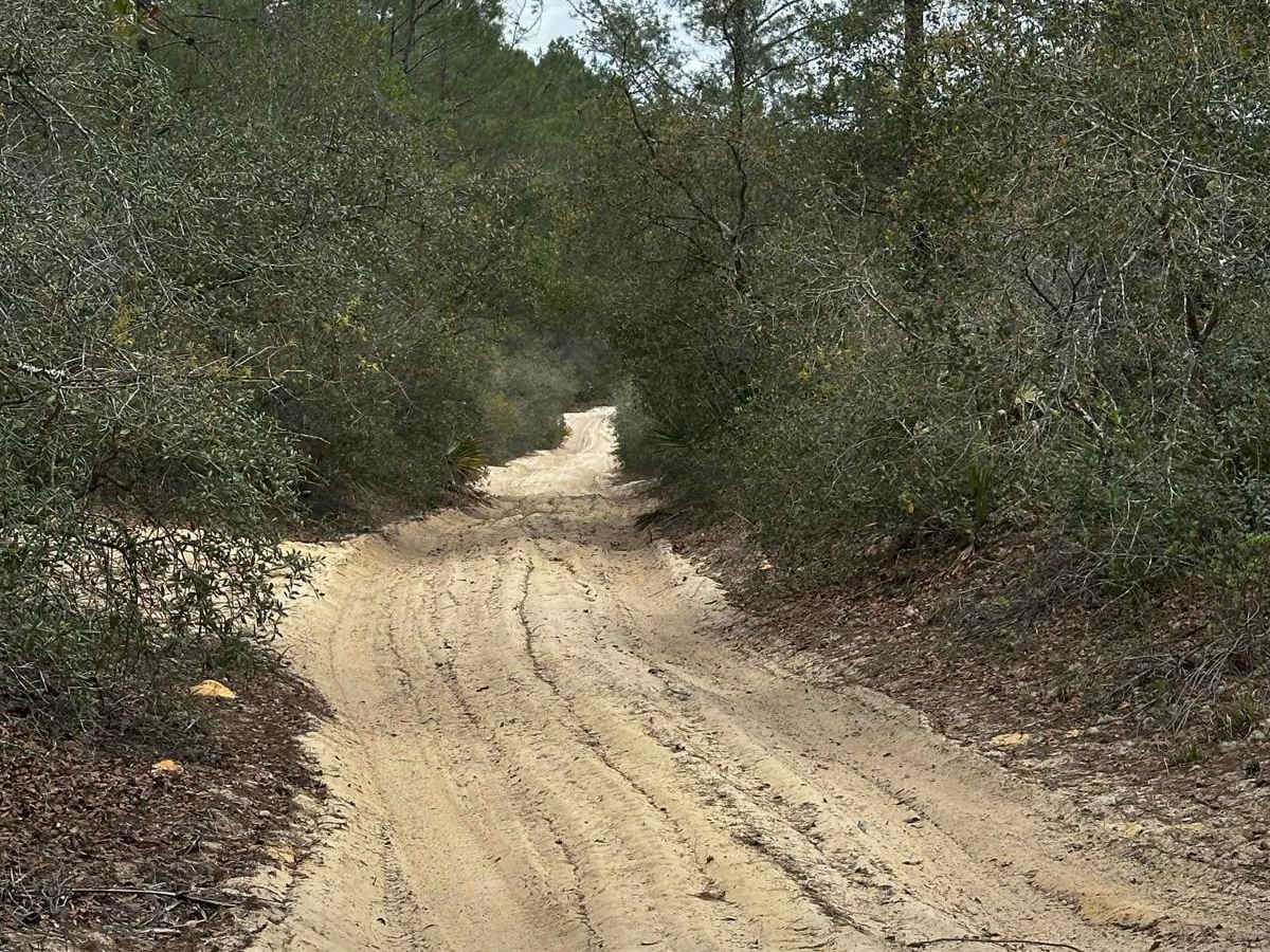 ONF Trail 9-5.2 photo 6