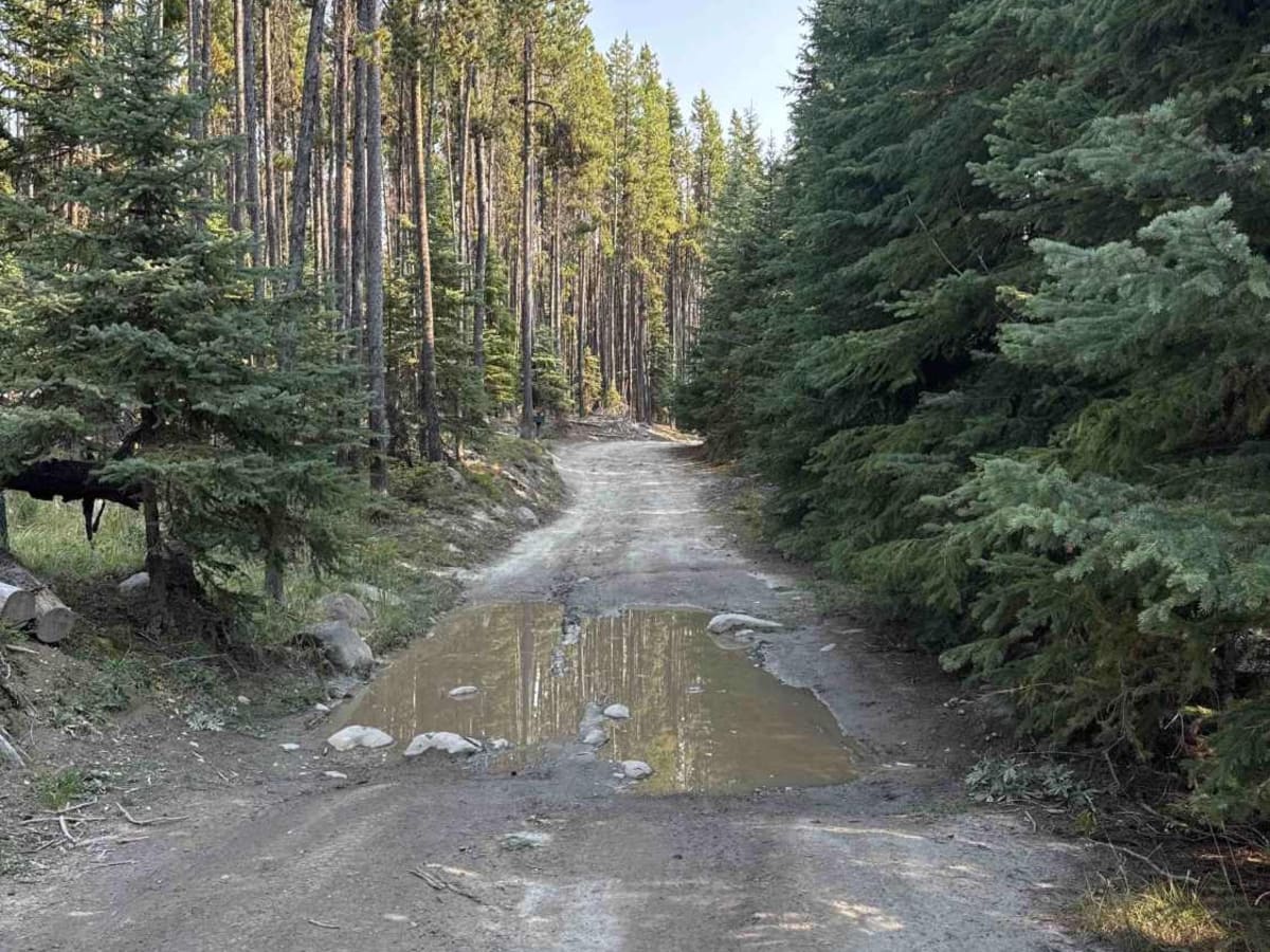 Pannask Lake Road photo 5