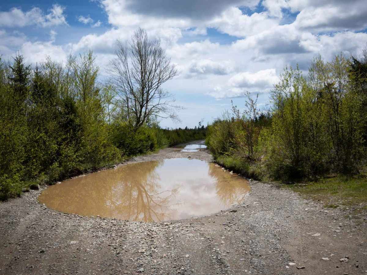Goose Creek Road photo 3
