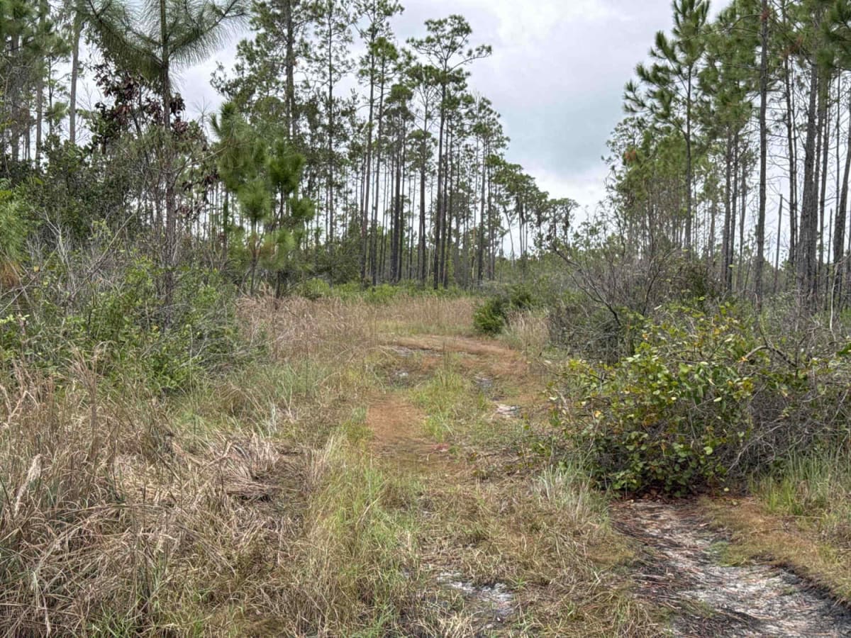 Burnt Island Loop photo 5