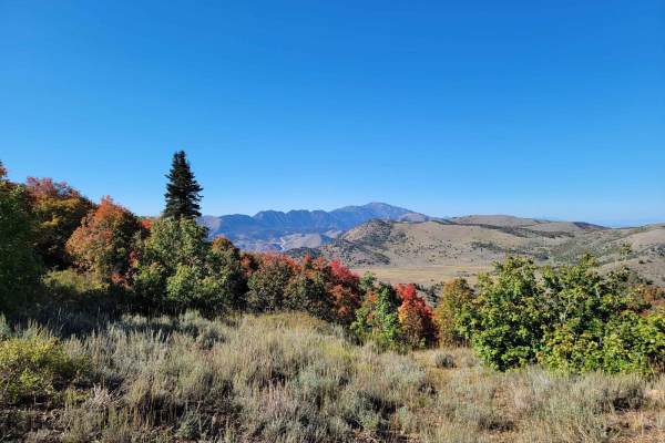 Three Mile Canyon Trail