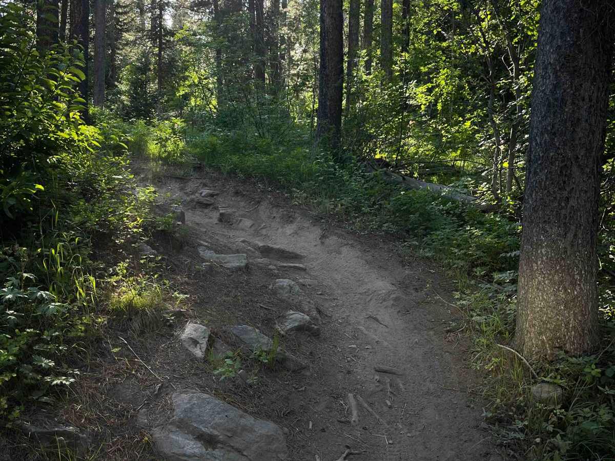 Drake Creek photo 2