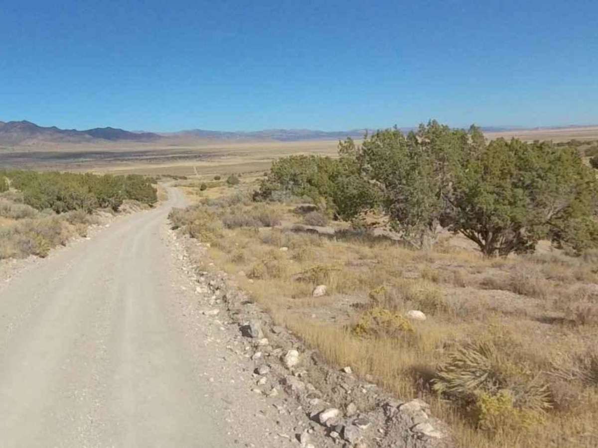 Willow Springs Road-JC8112002 photo 5
