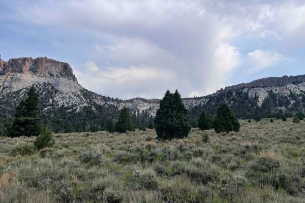 Casto Bowl - BLM 30116