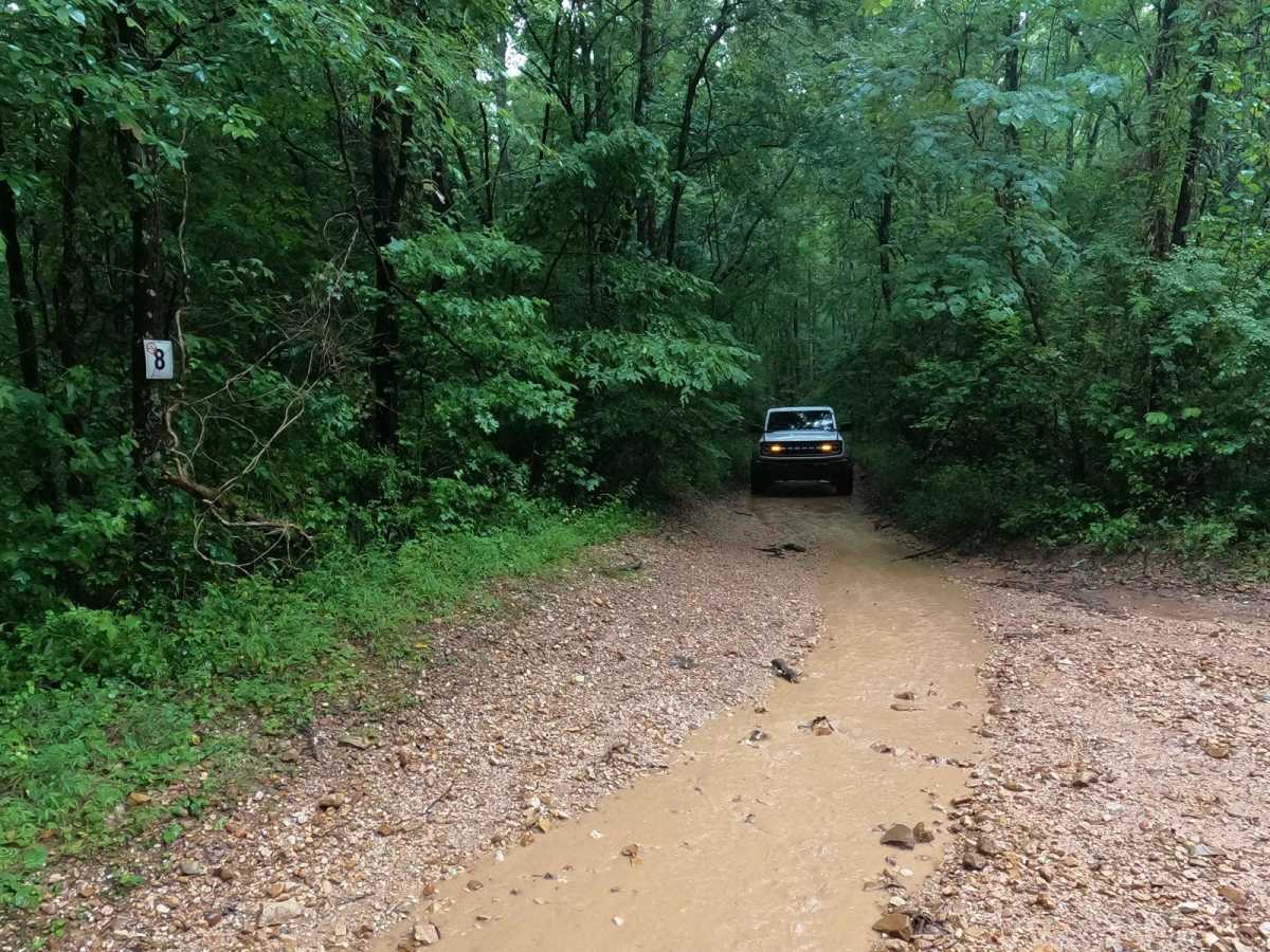 8 to E Road trail photo