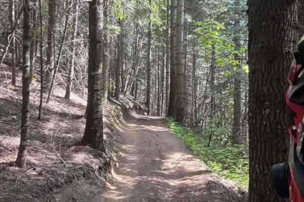 Partridge Creek OHV Trail 8290