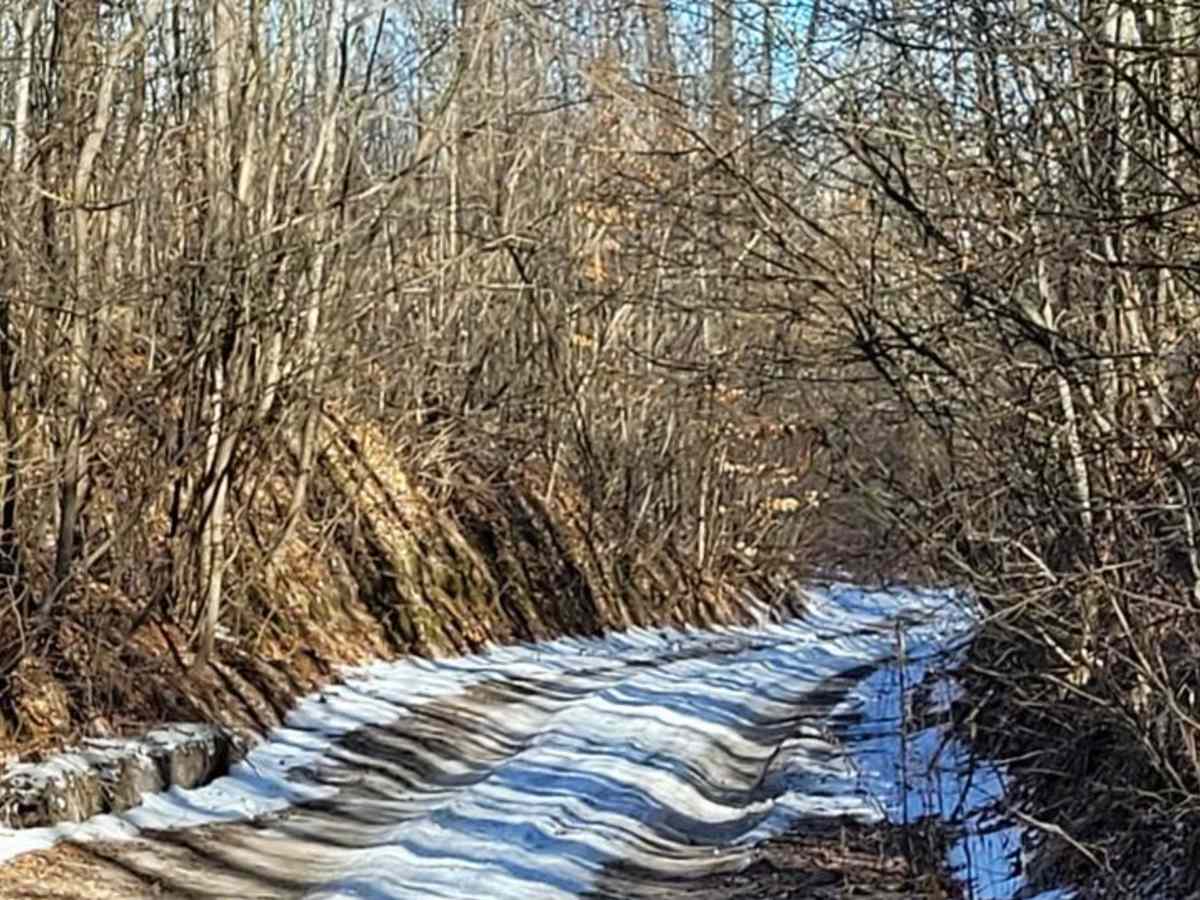 Evart to Sunrise Lake Trail photo 6