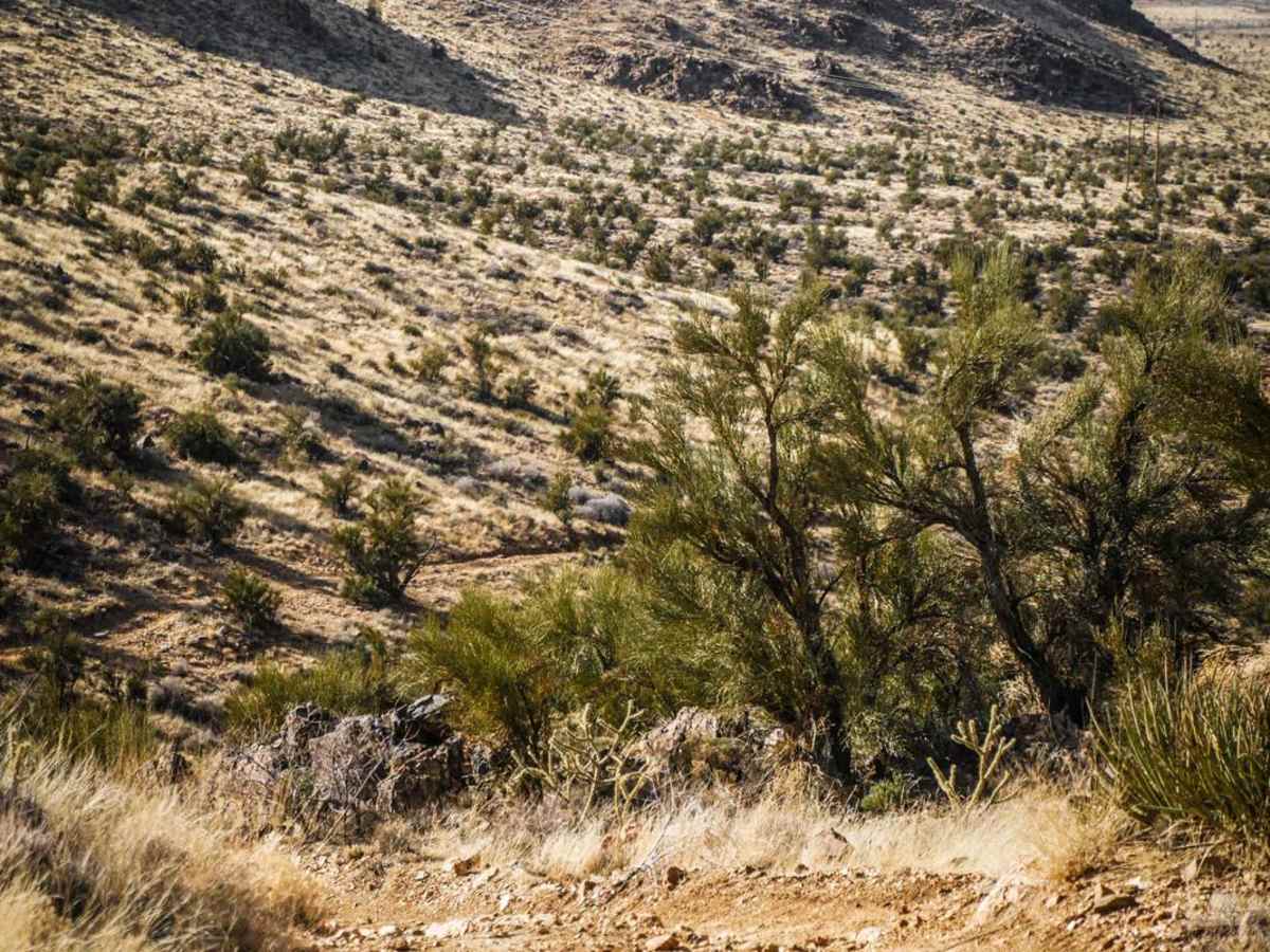 I-40 Parallel ATV Trail photo 5
