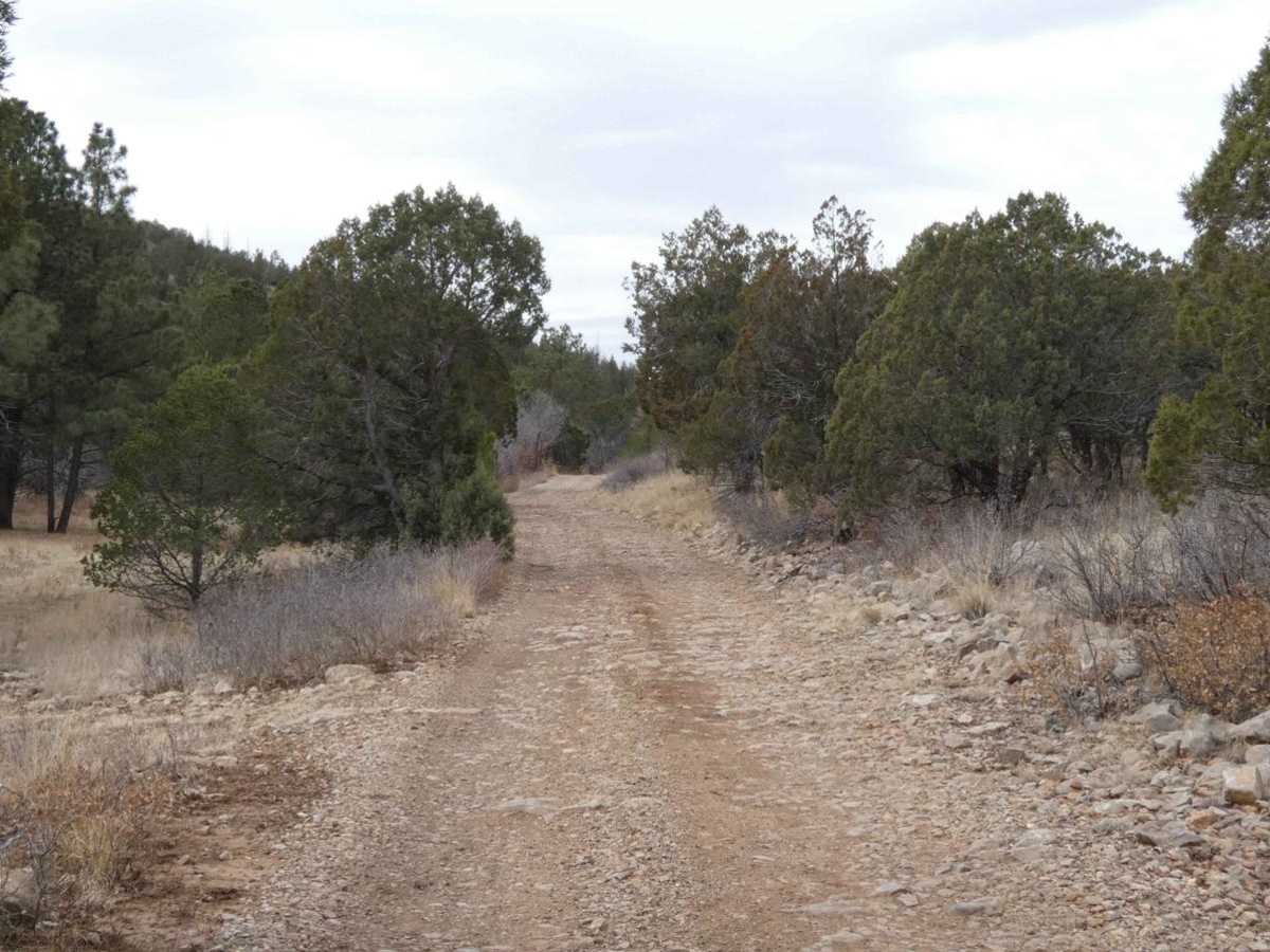 Bluewater Canyon photo 6