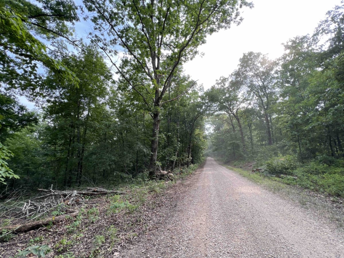 Gooseneck 3412 photo 3