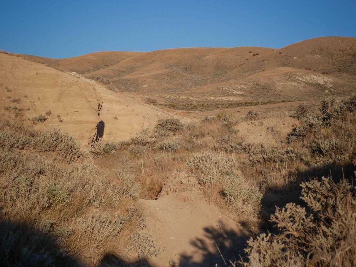 Ditch Loop photo 3