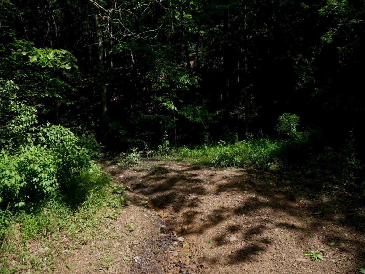 RV33 photo 2
