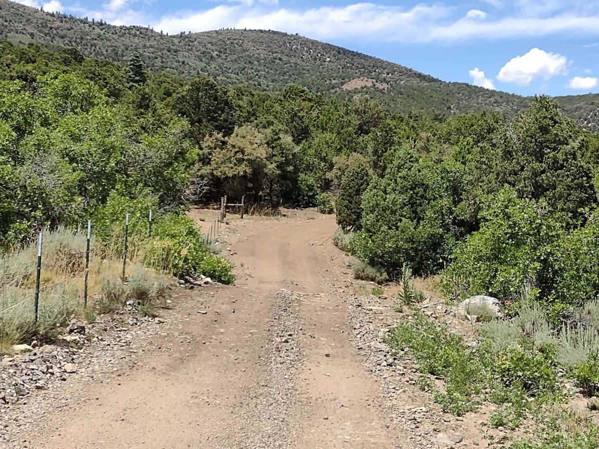 Revenue Gulch (FS 40577, BLM 210) photo 6