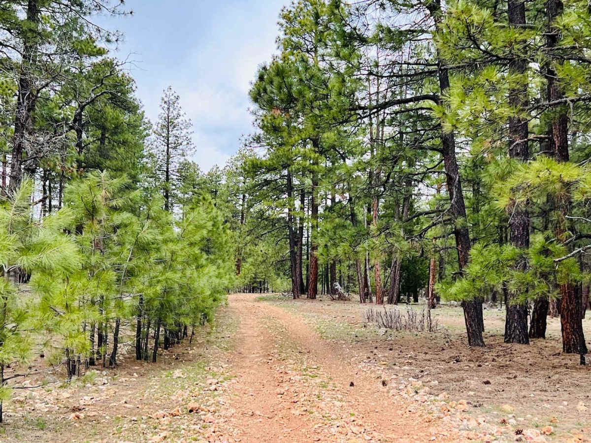 Flat Rock Point photo 5