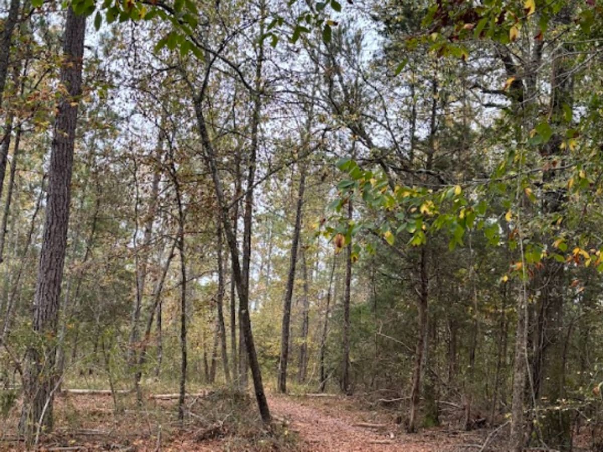 58 trail photo