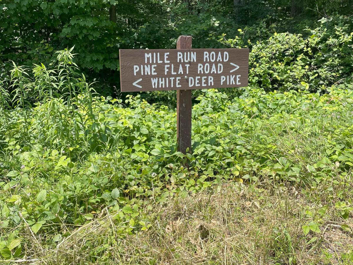 Mile Run Road trail photo