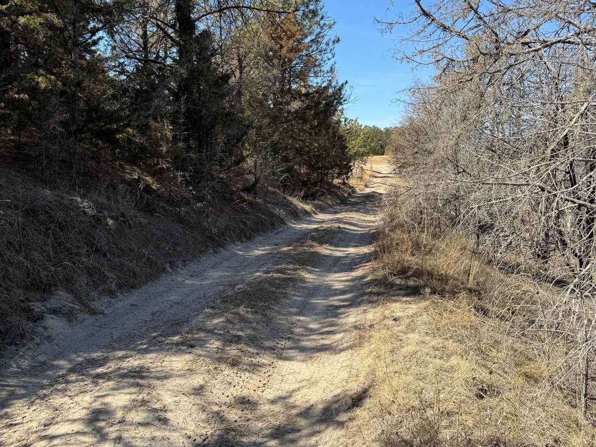 Forest Road 201-1 trail photo