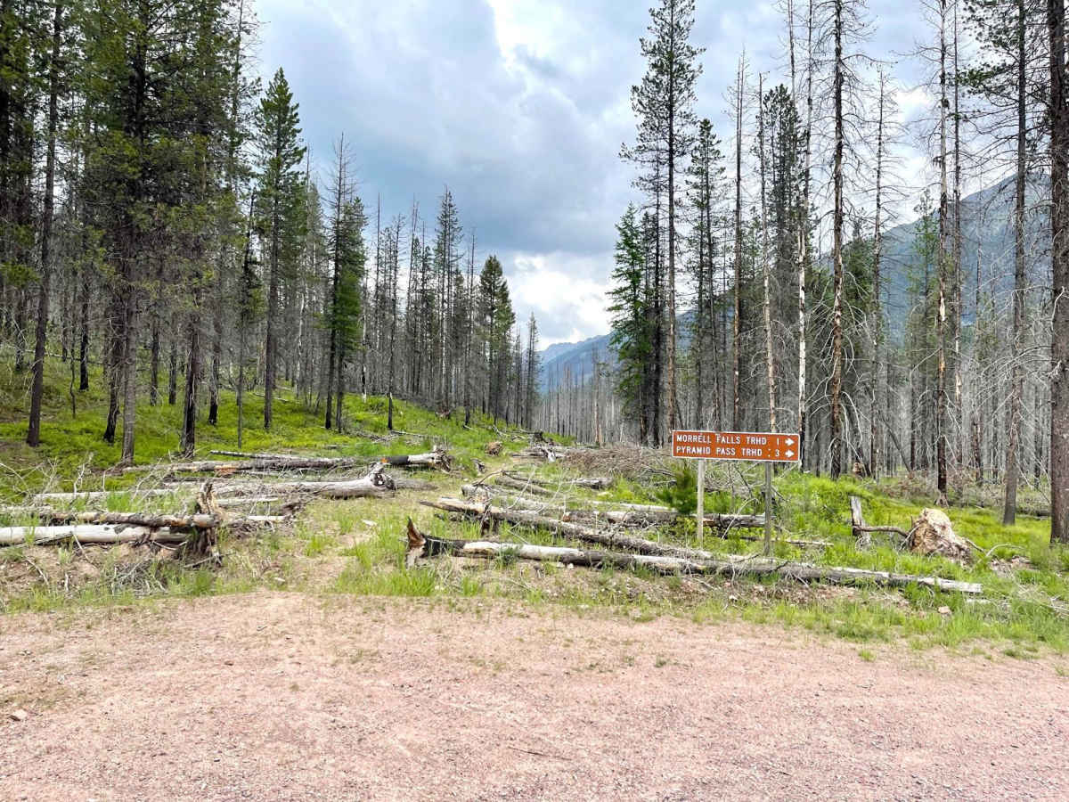 Upper Trail Creek photo 4