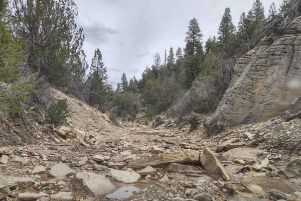 Kanab Creek Trail