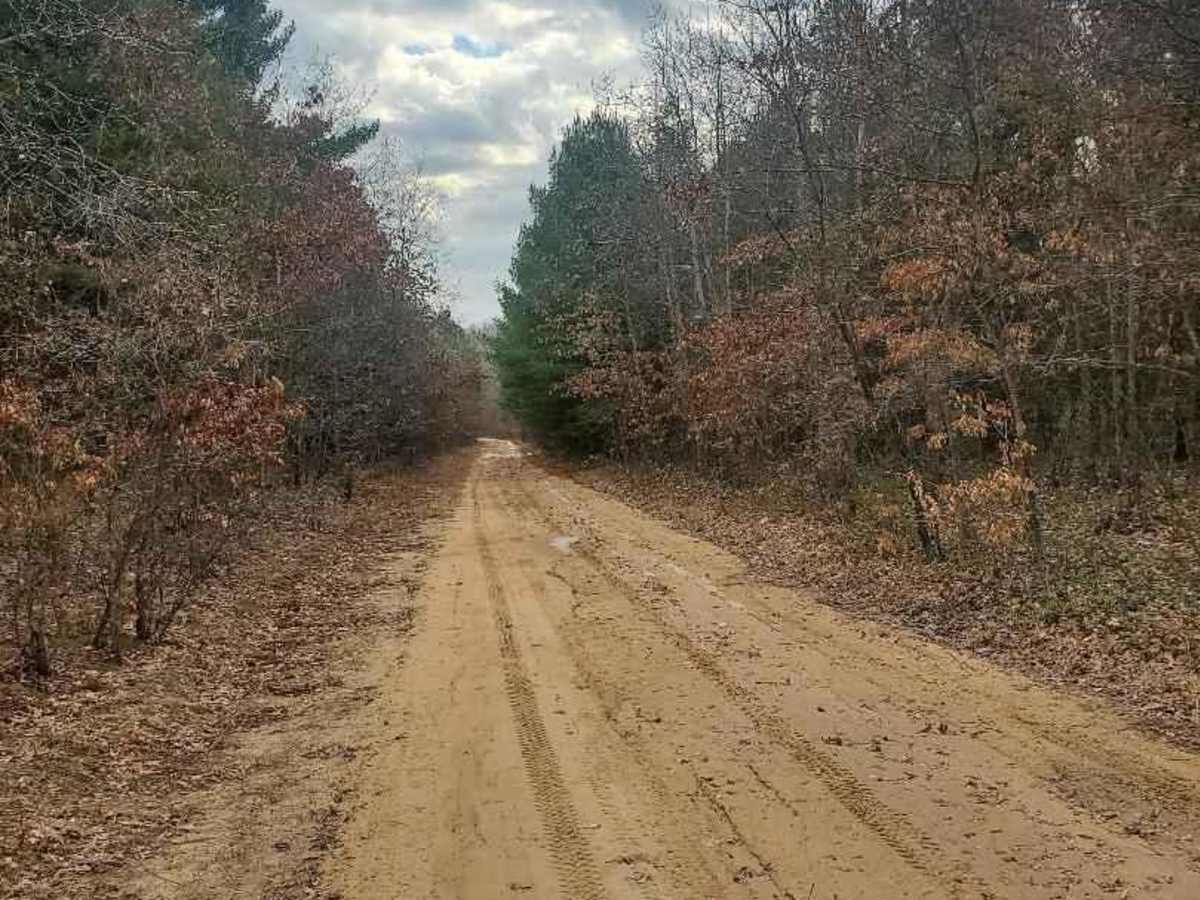 Bager Trail photo 2
