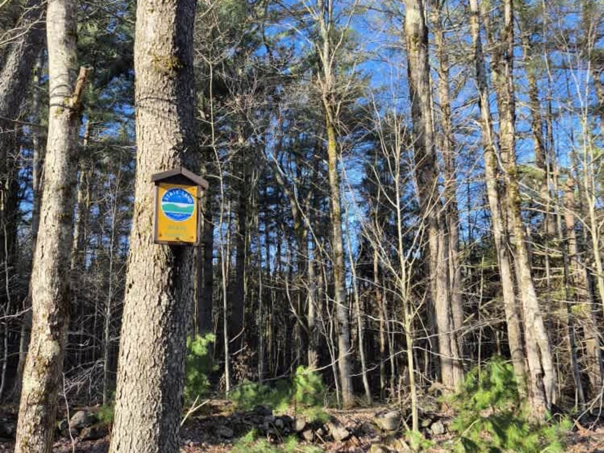 Houlahan Road trail photo