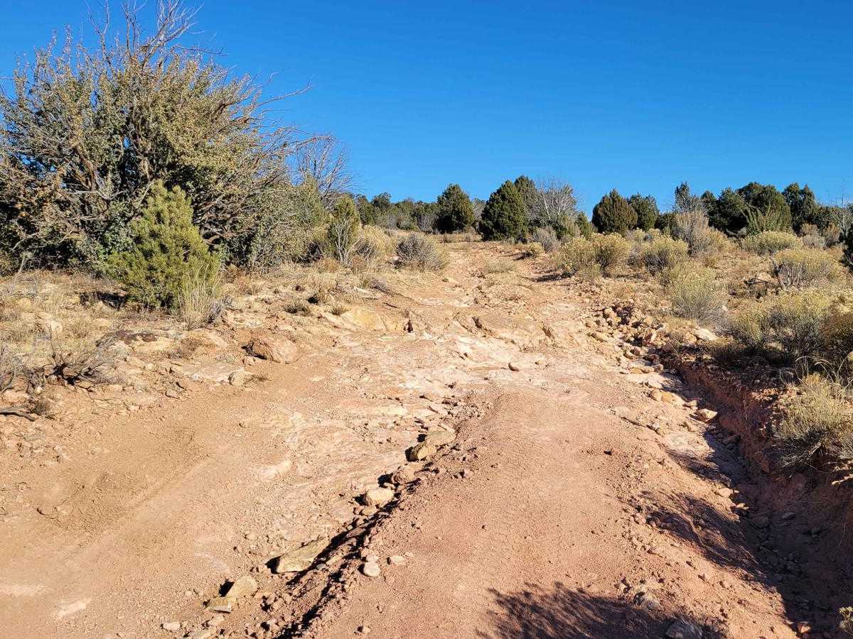 BLM 1648 photo 3