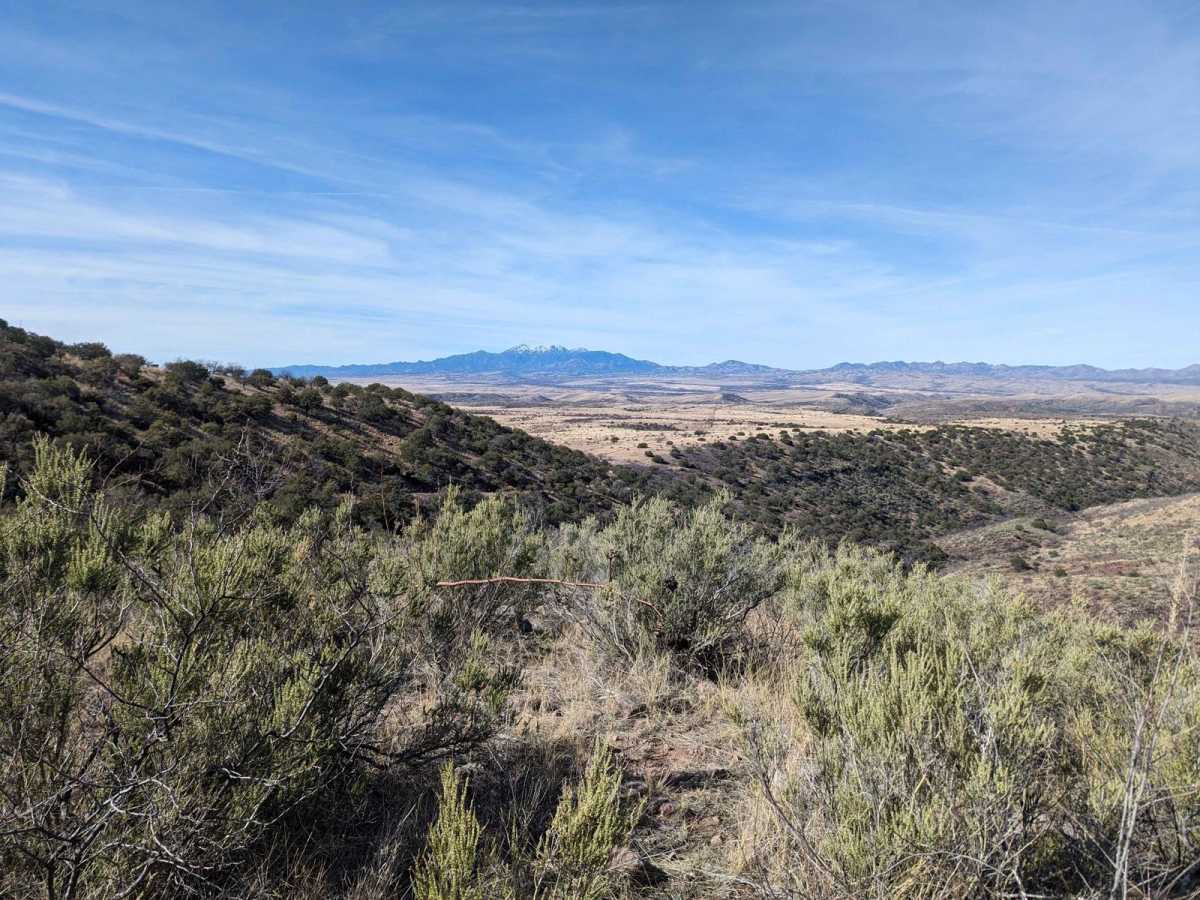 Coal Mine Road FR-4859 photo 6
