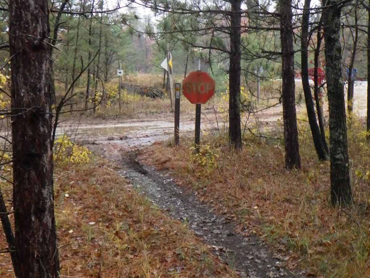 MCCCT M-37 to Little Manistee photo 5