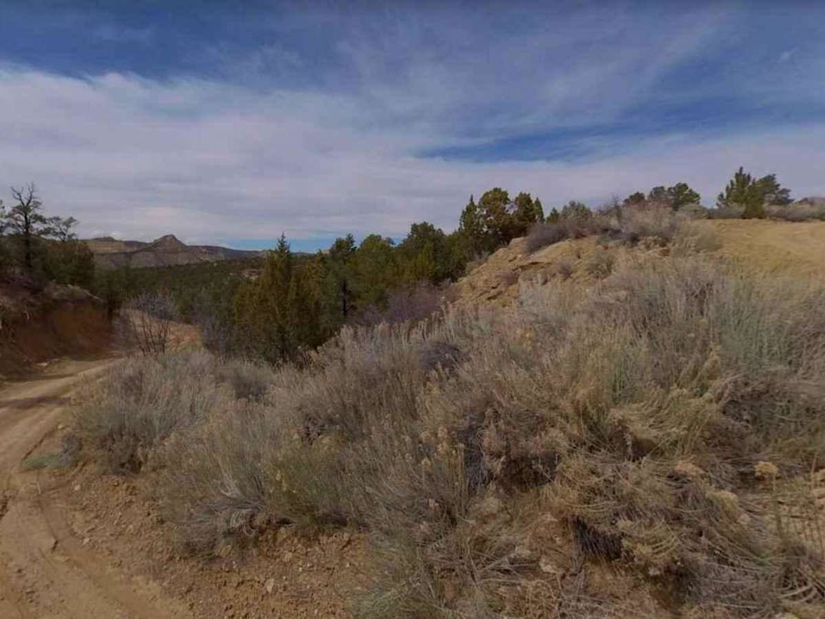 Smoky Mountain Road North BLM 300 photo 6
