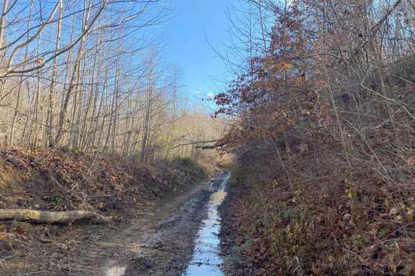 Blue Creek Road - Tar Hollow Trails