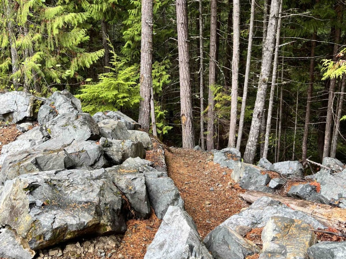 Rhododendron Lake Ecological Site photo 6