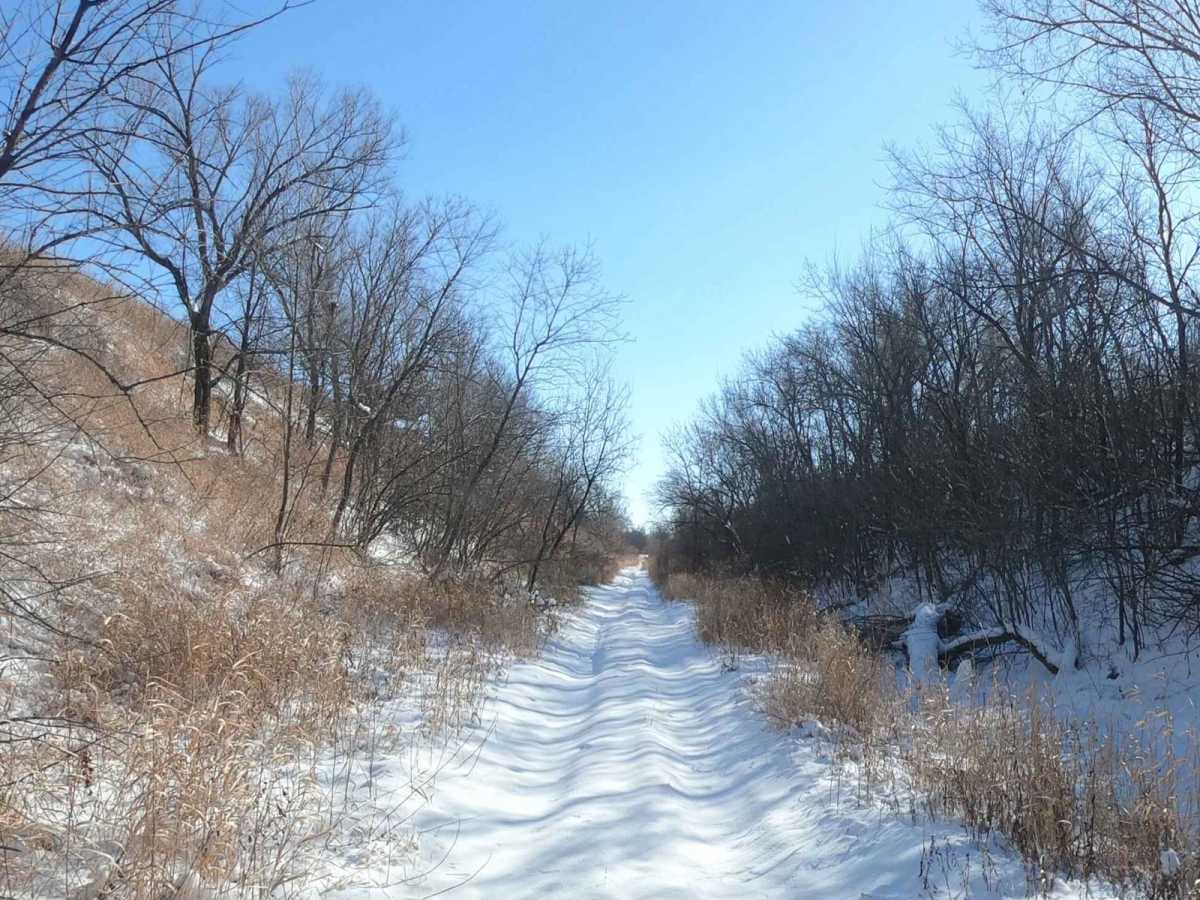 RoughRider Trail photo 3