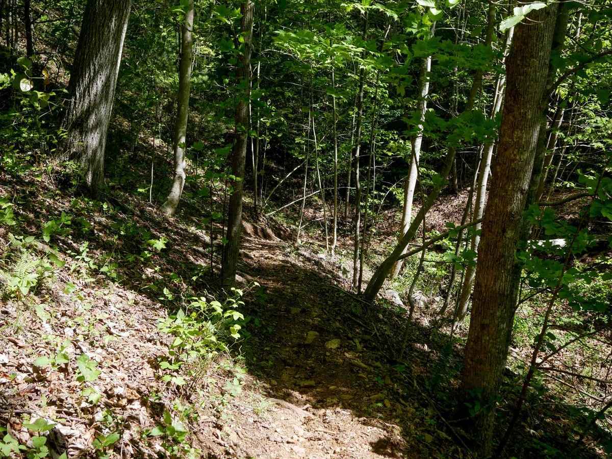 Stage 4 photo 5