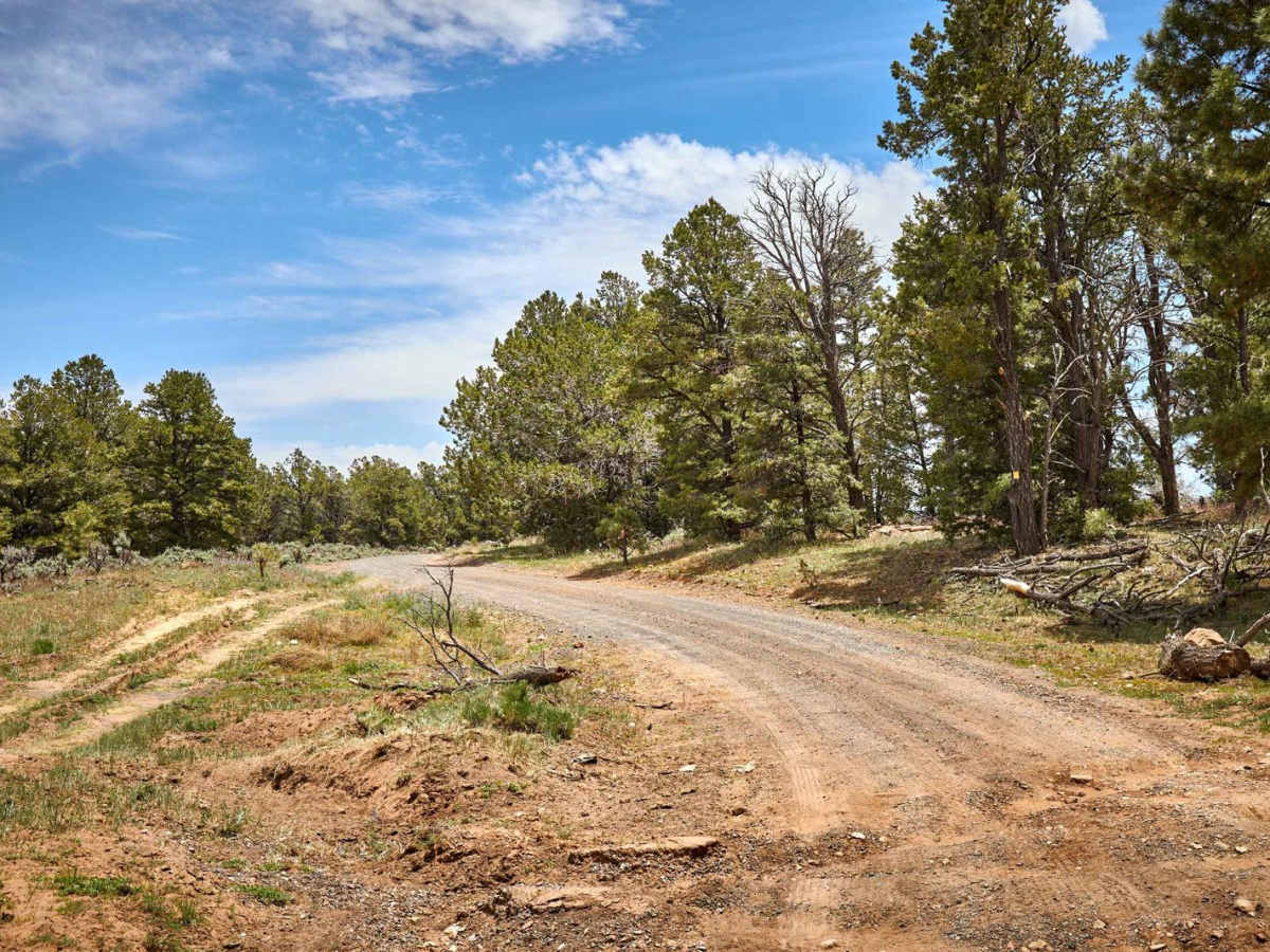 Old Cameron / 307 trail photo