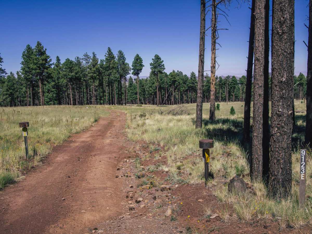 High Grass Crossing trail photo