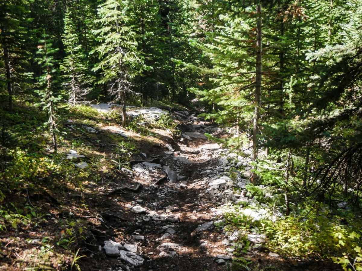 Doctor Park Trail photo 6