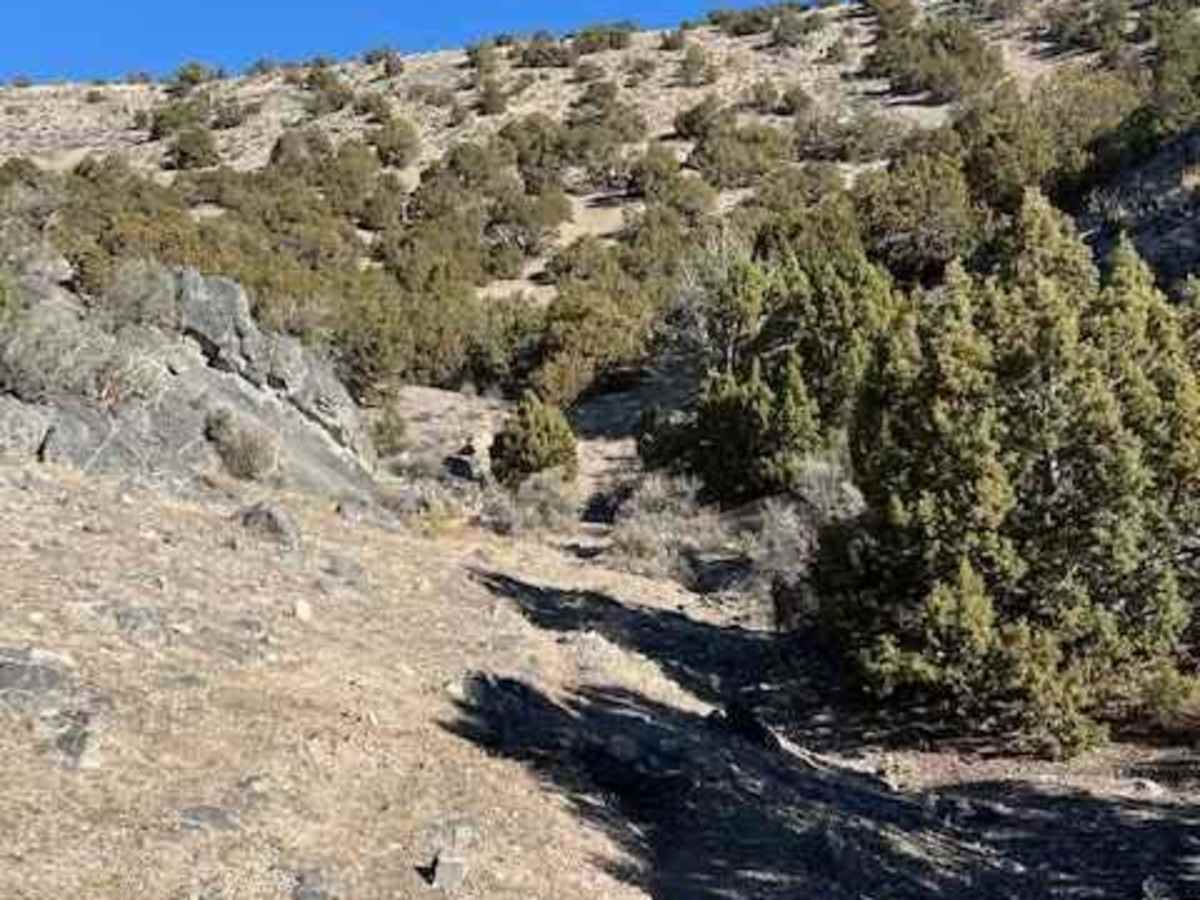 Rib Cage Canyon Go-Around photo 4