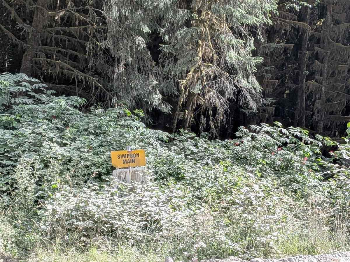 Simpson Main trail photo