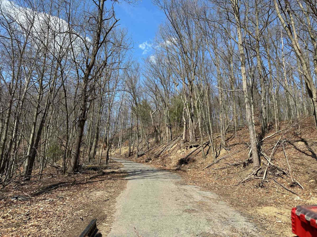 Ashland 10 trail photo
