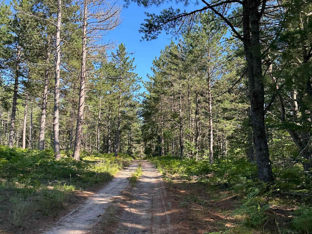 Barker Trail photo 2
